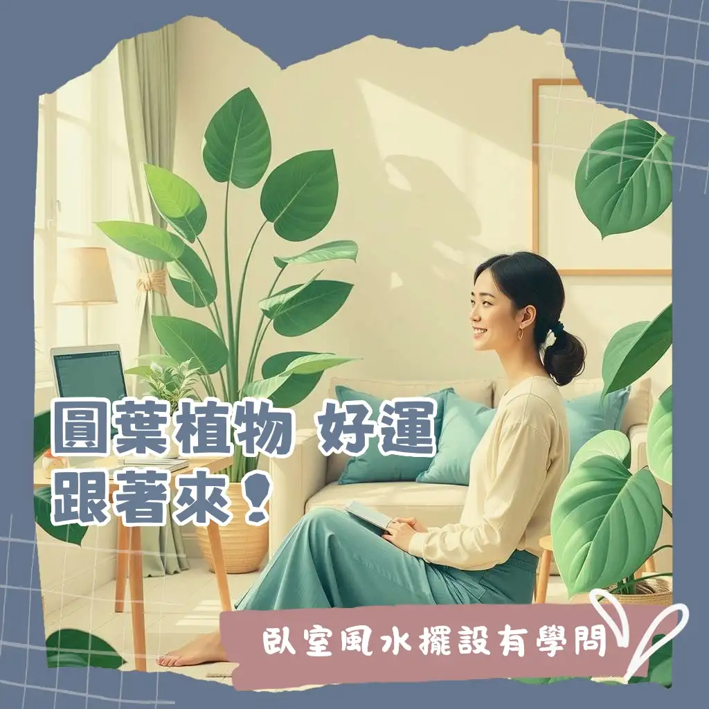 房間植物風水擺設指南，挑選臥室適合植物，打造舒適好氣場，避免風水禁忌。